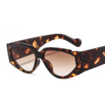 Personality Color Plastic  Sunglasses, Trendy Sunglasses For Men And Women, Cross-Border Sunglasses