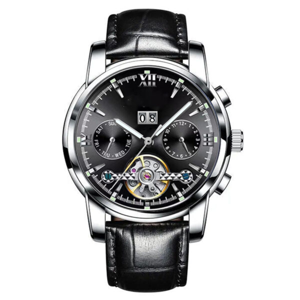 Fully Automatic Multifunctional Mechanical Watch